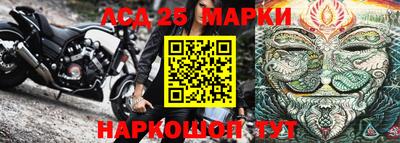 индика Абакан