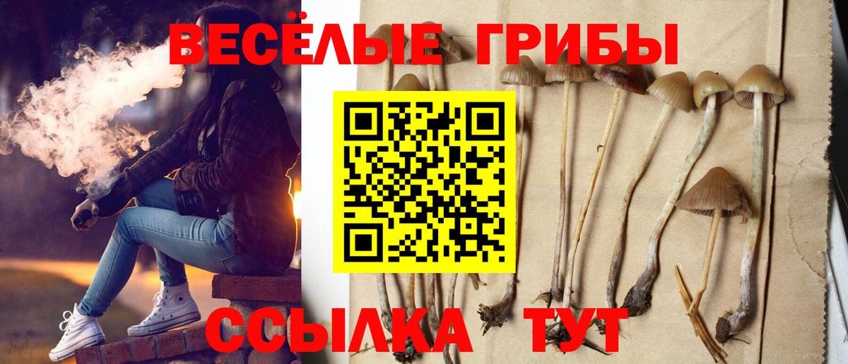 Алушта  Галлюциногенные грибы Magic Shrooms  Вход с VPN 
